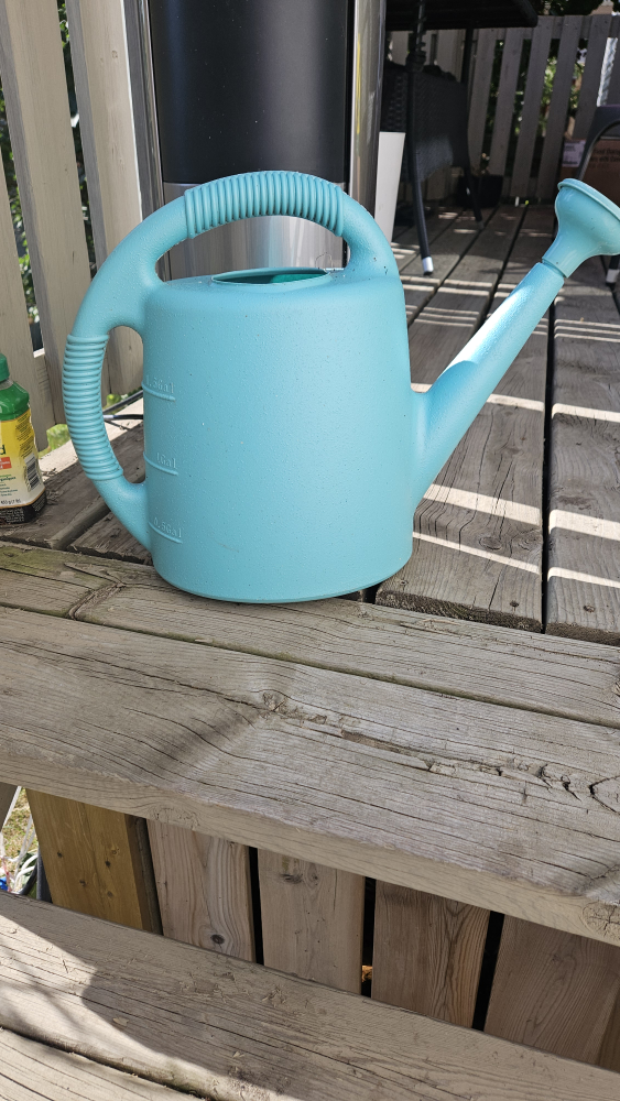 Blue Watering Can - photo 3