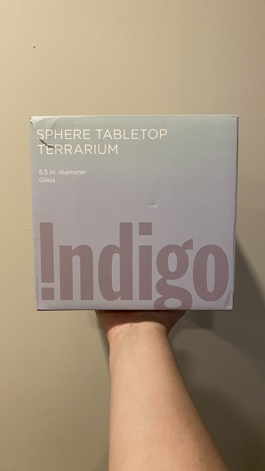 Indigo Sphere Tabletop Terrarium