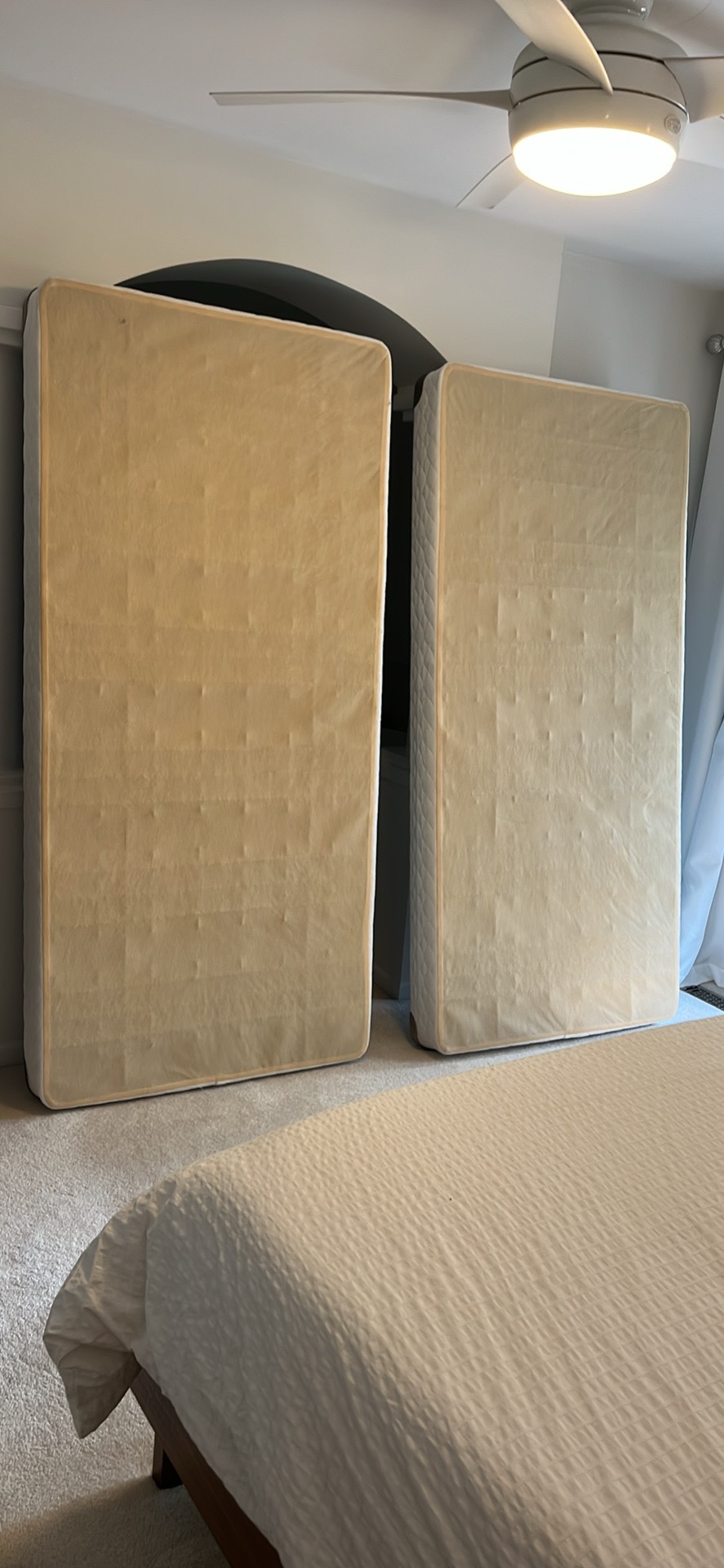 King Box Spring. Clean FREE.