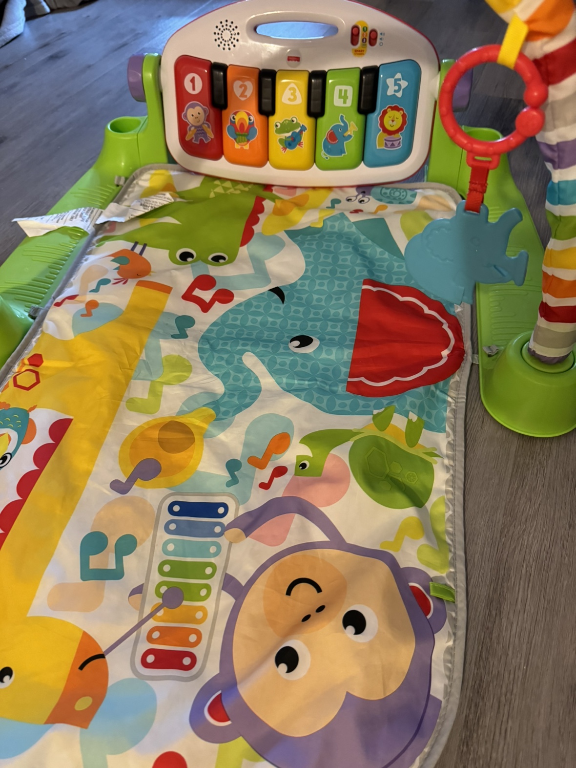 Fisher price delux play mat