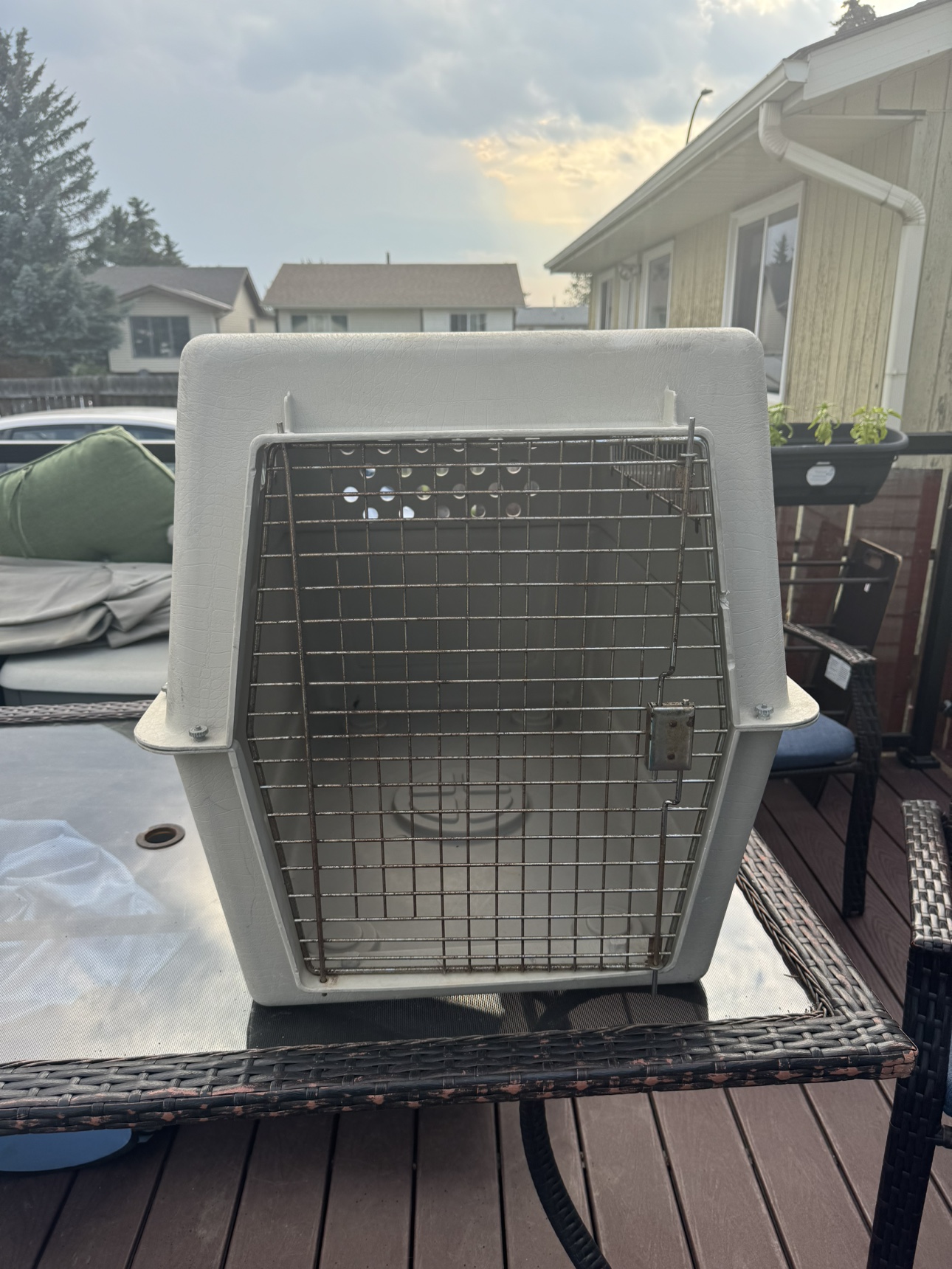 XL Dog Kennel- Air travel approved