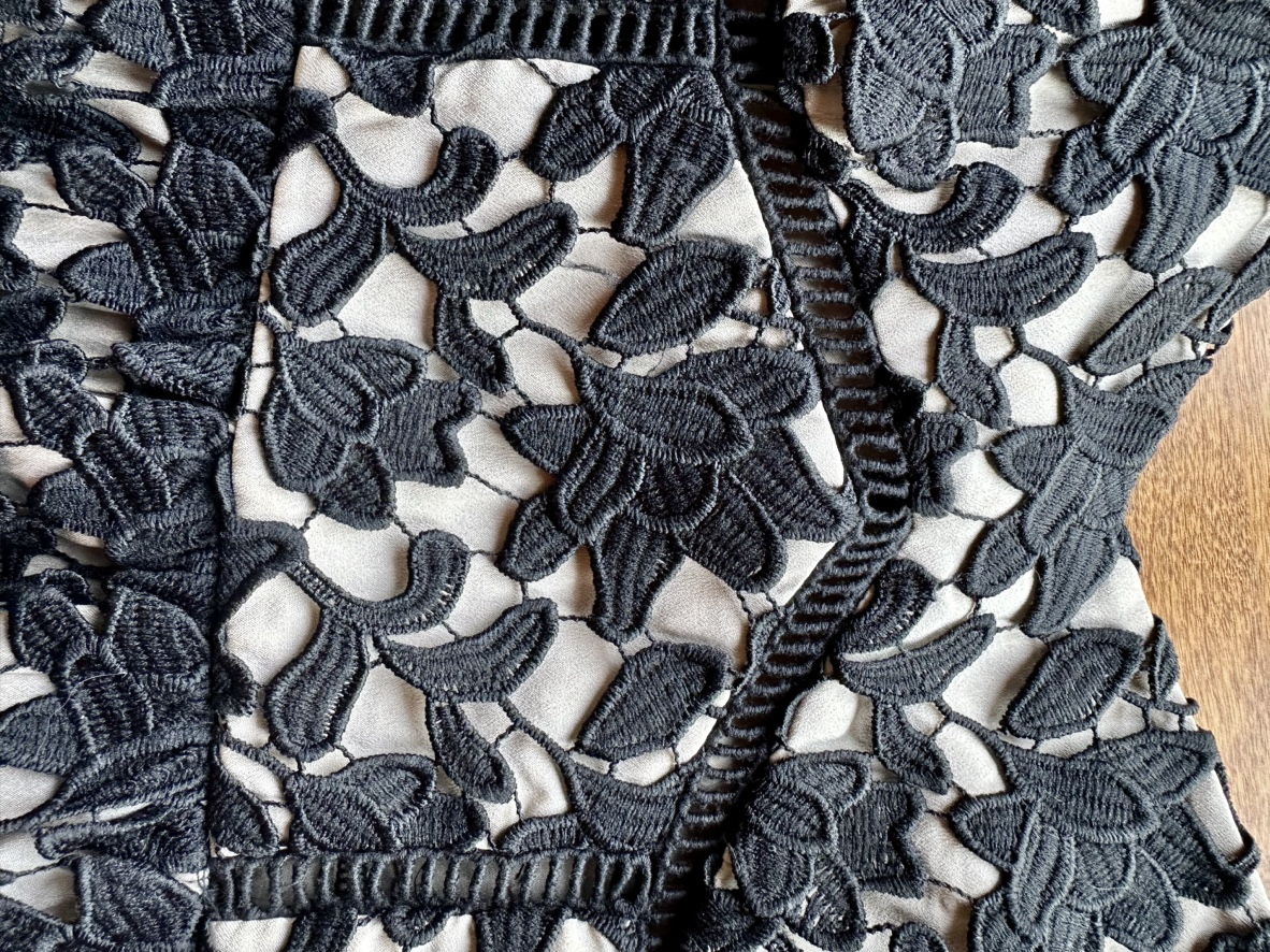 Club Monaco Black Lace Dress image indicator(4)