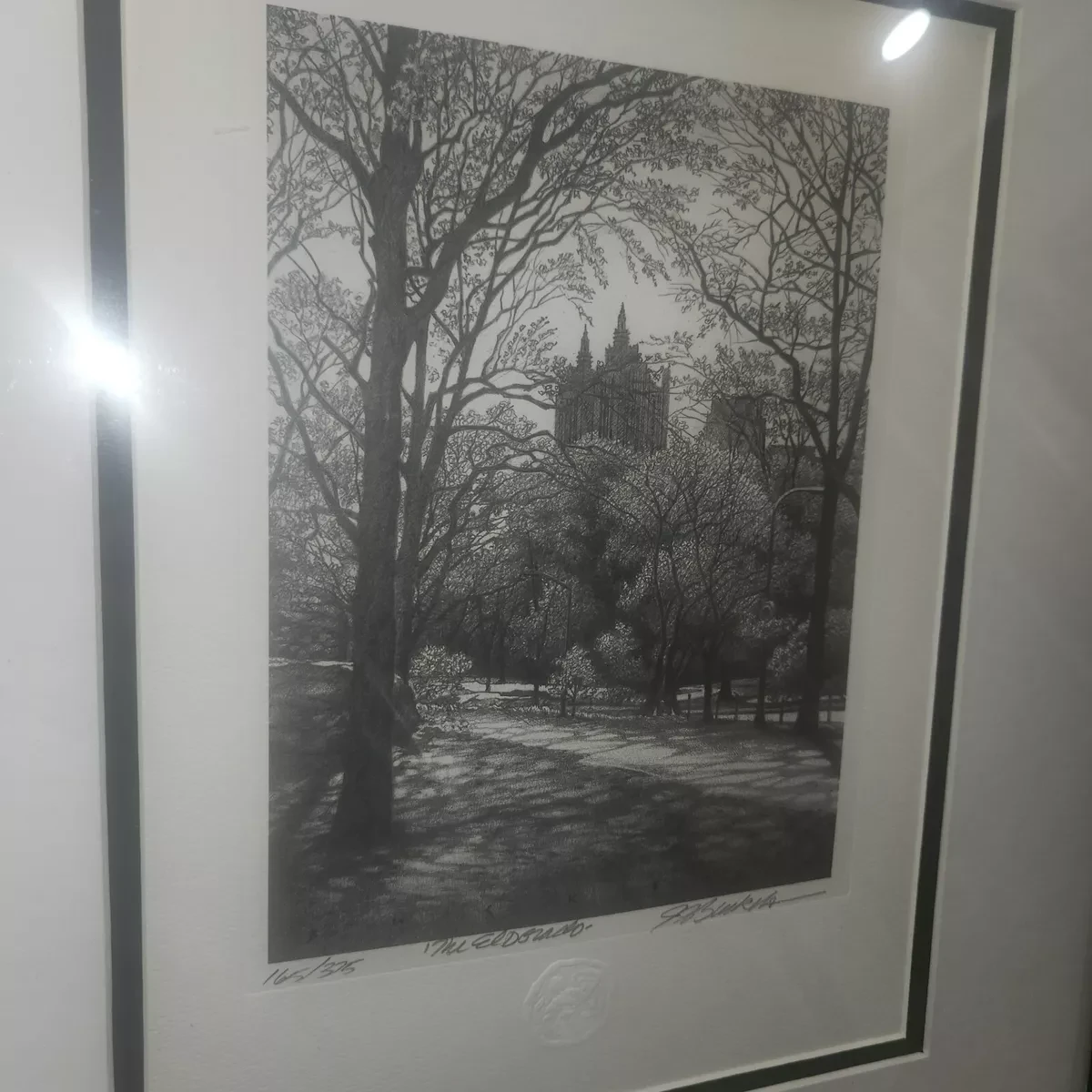 Jim Buckels Pencil Drawings
