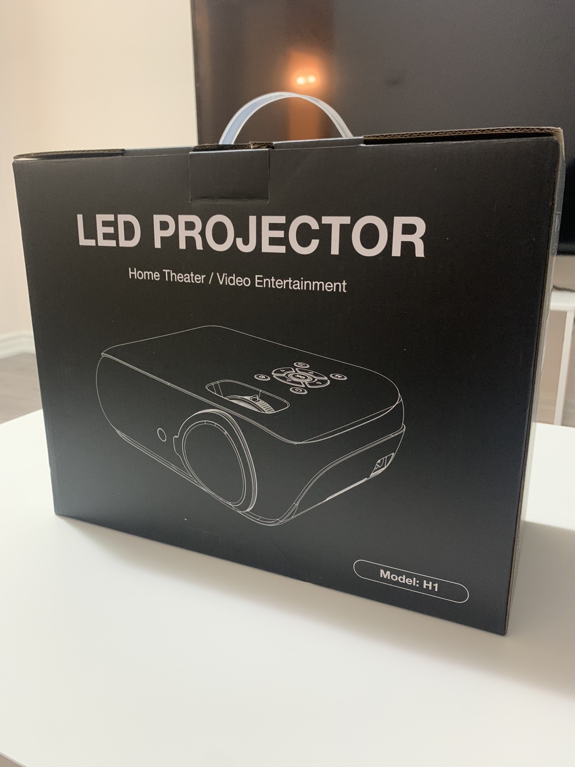 LED Projector