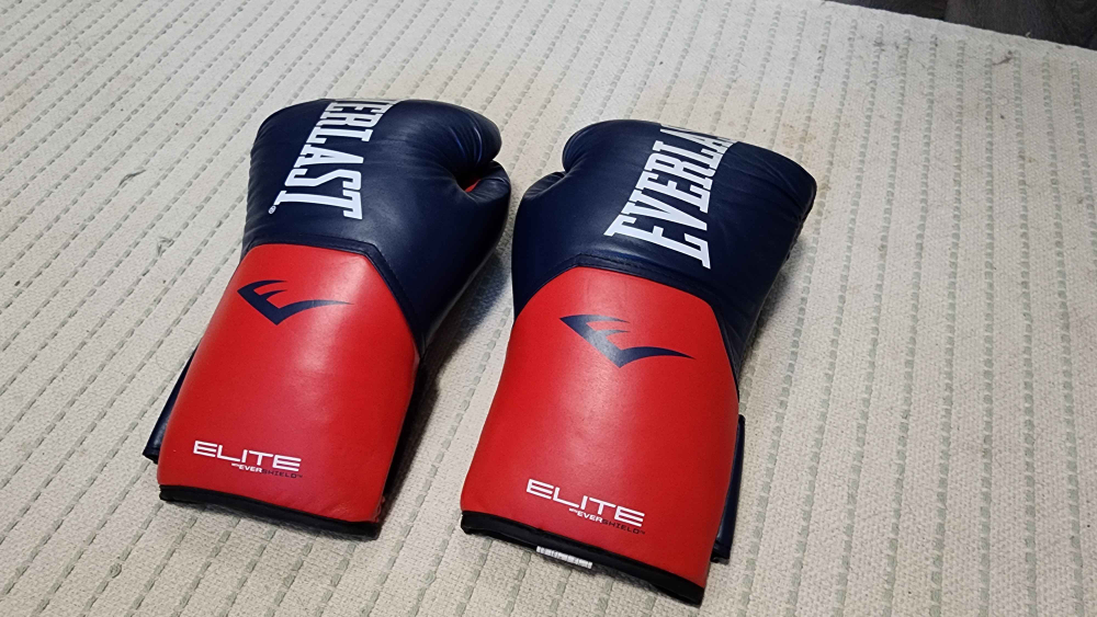 Everlast Training Gloves thumbnail