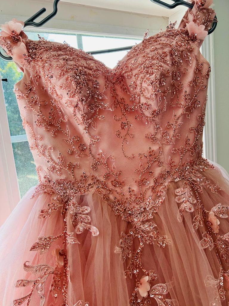 Pink Quinceanera Dress image indicator(3)