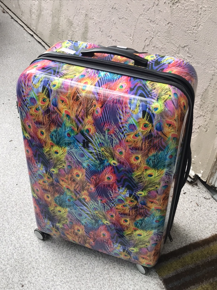 IT Suitcase [Peacock Design] - photo 5