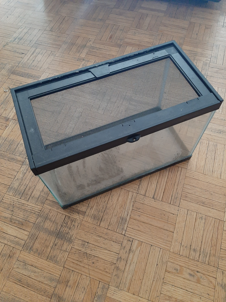 glass terrarium