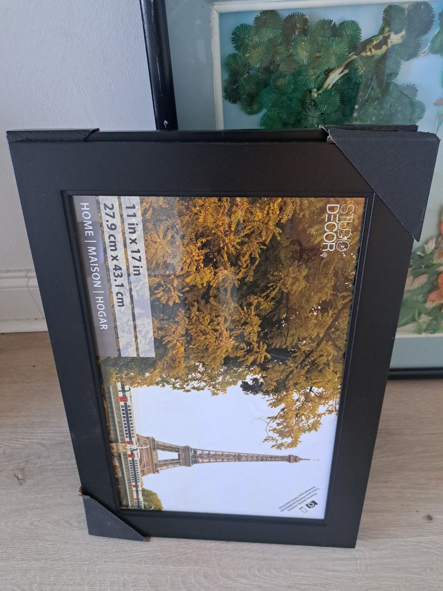 Michaels  Picture Frames $2 for each frame