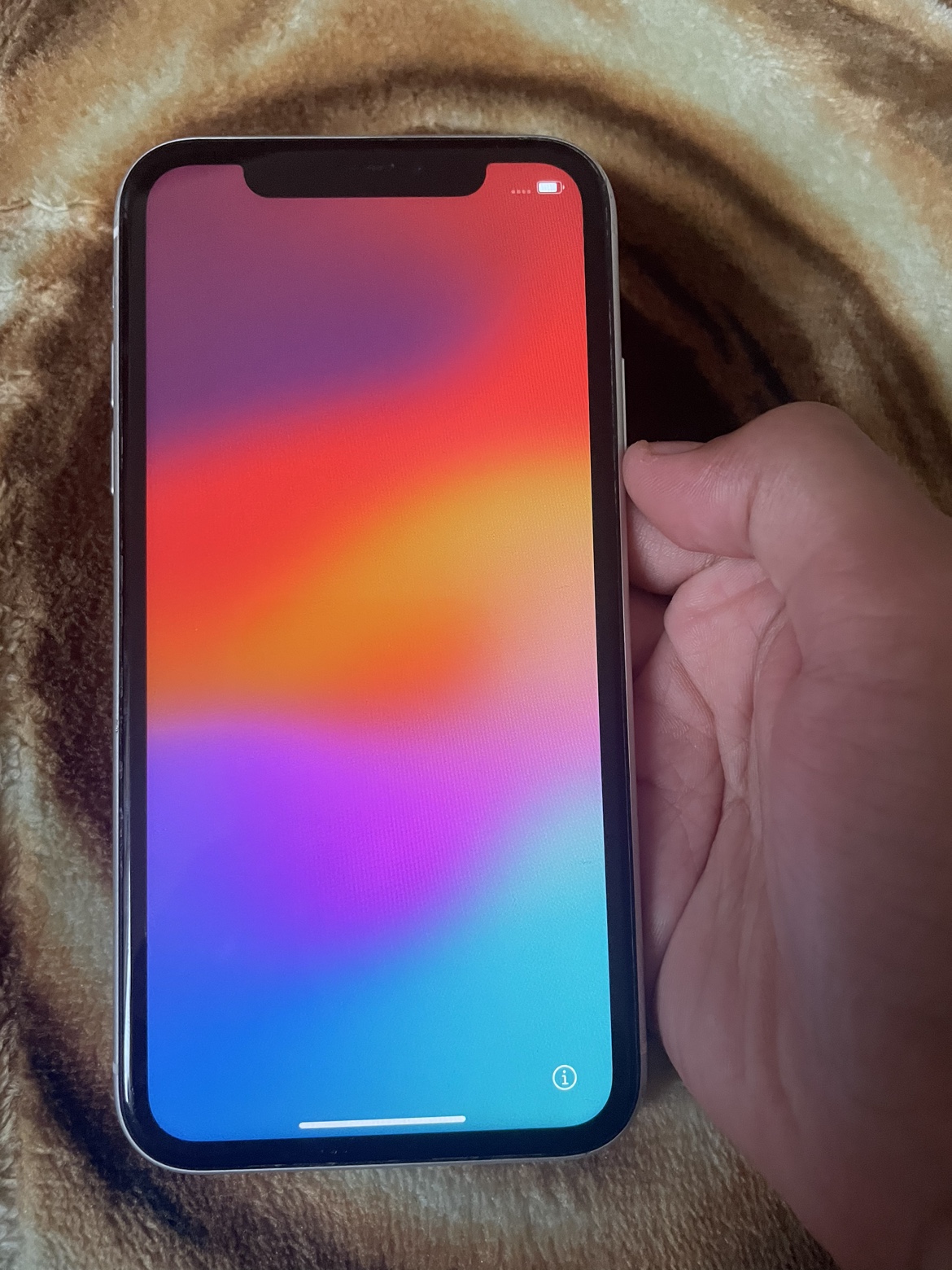 iPhone XR