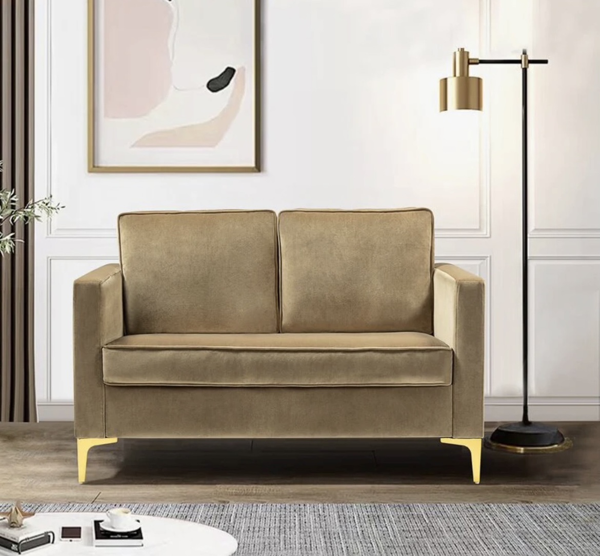 Velvet love seat from Wayfair
