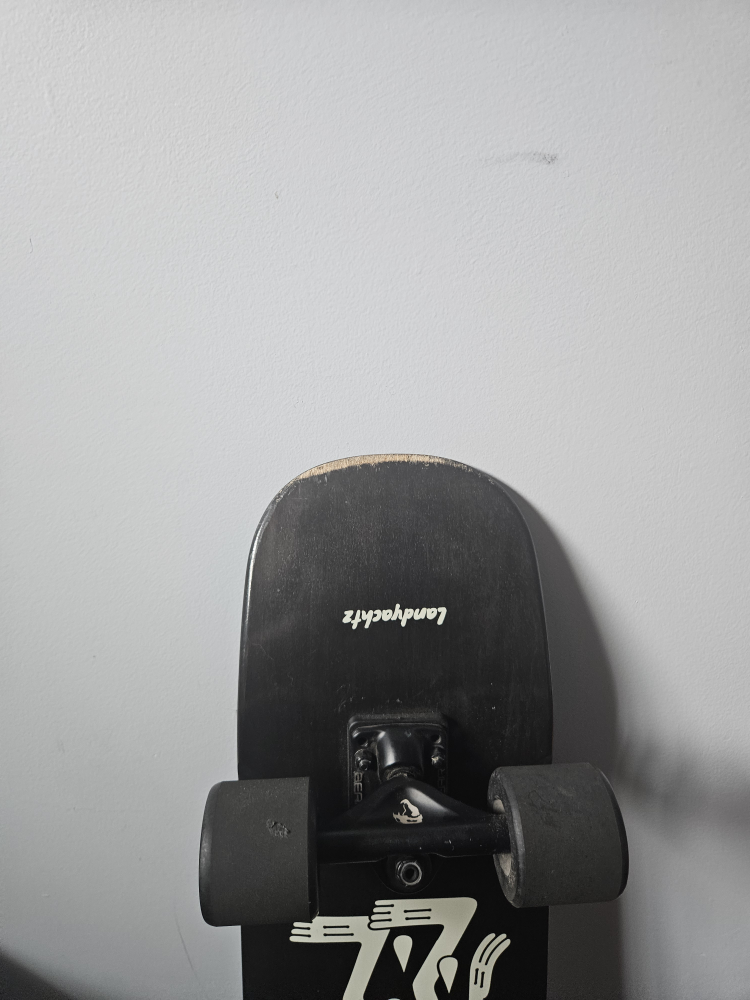 skateboard land yachtz - photo 5