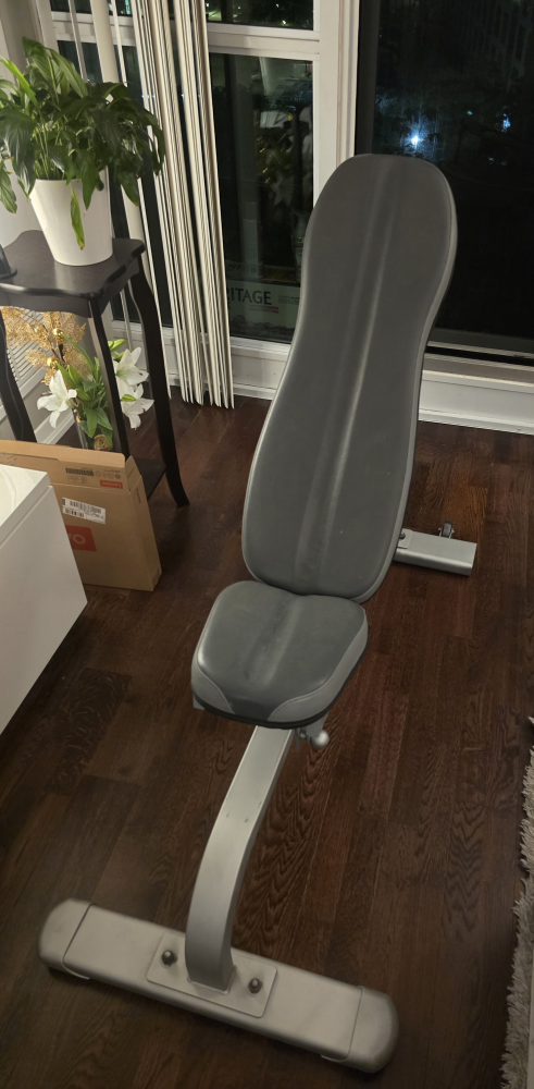 Grey Workout bench