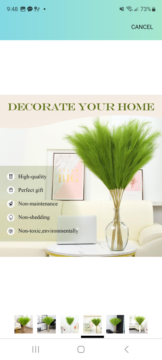 Green pompas grass image indicator(2)