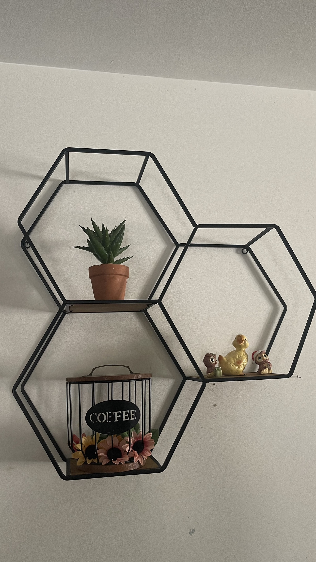 Metal black wall shelves ( shelves only )