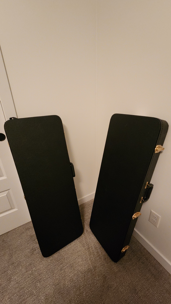 Electric Guitar Case