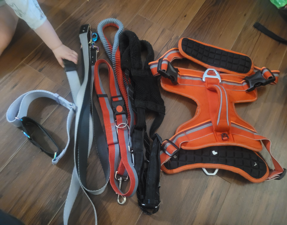 assorted Dog Harness and Leashes