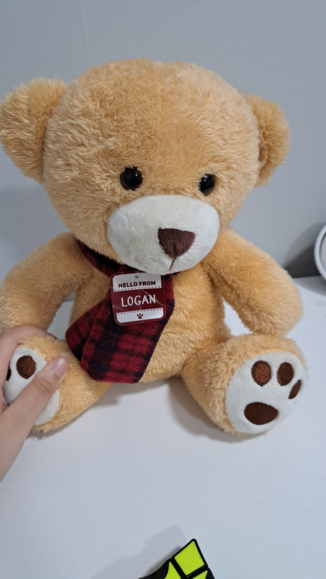 Tan Teddy Bear