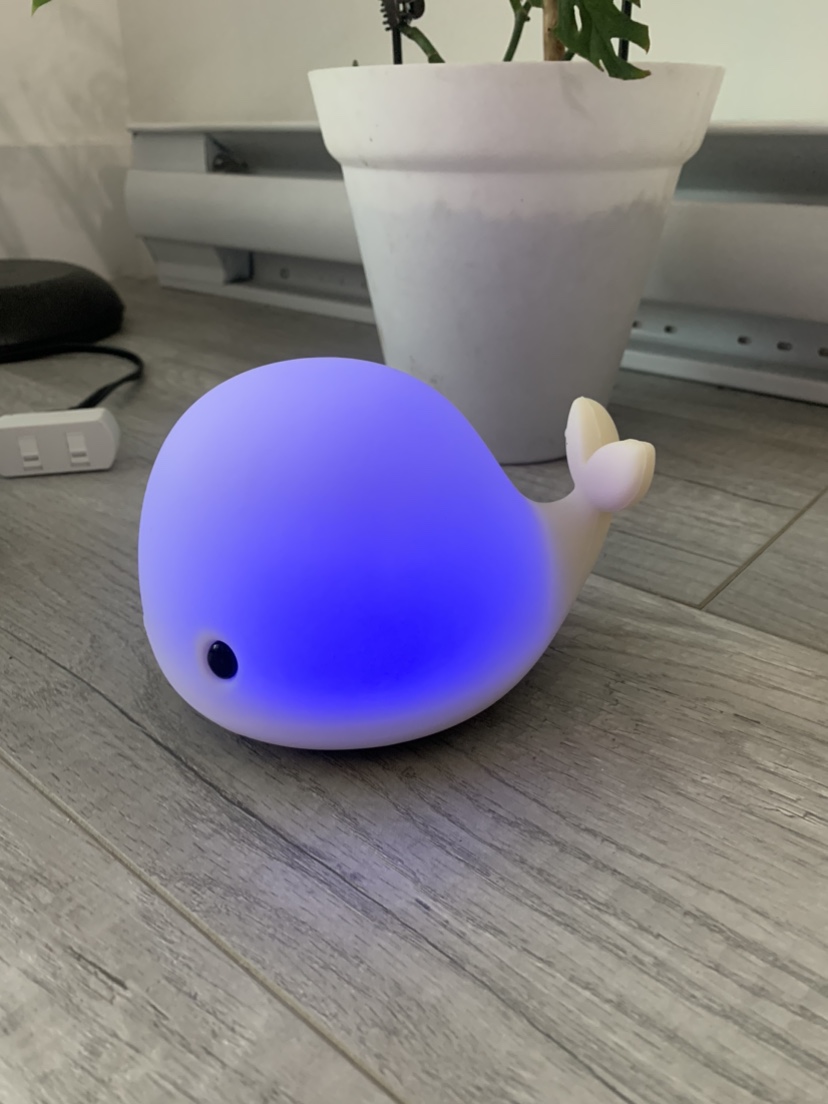 Free whale night light & whale butter dish - photo 3