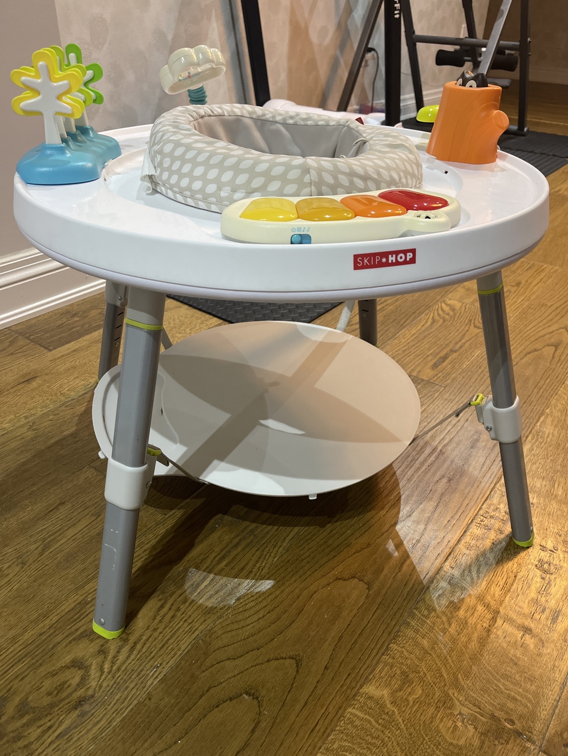 Skip Hop Explore & More 3-in-1 Activity Center - photo 2