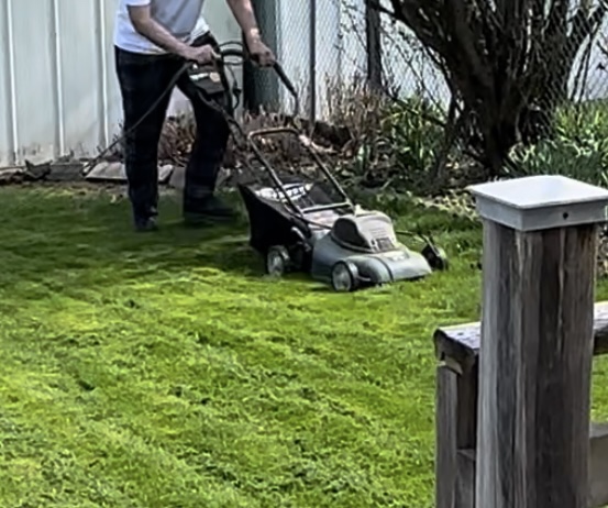 Electric Lawn Mower