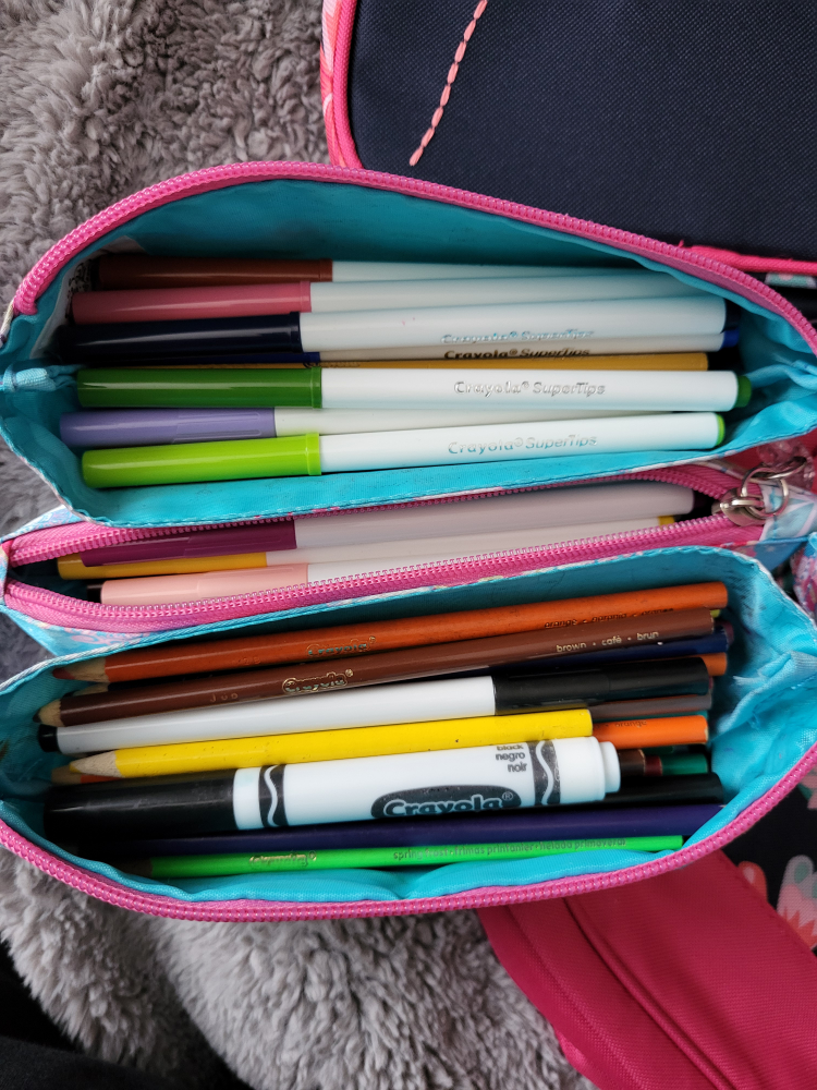 Gymboree Backpack and Lunch bag Set with free pencil case image indicator(9)