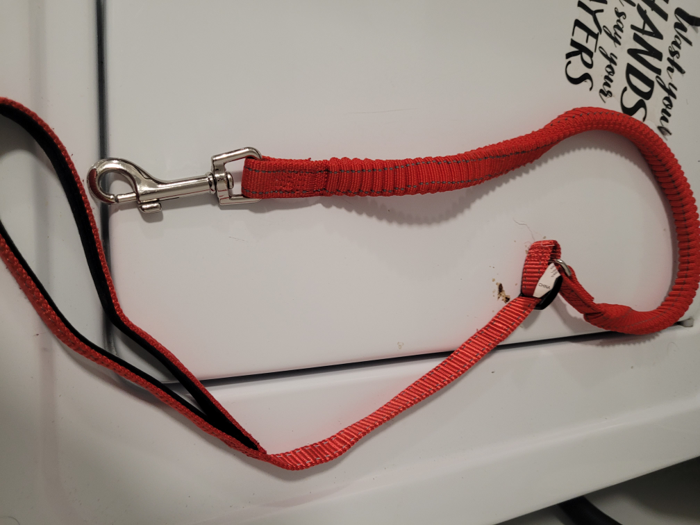 #freecycle - Red  Dog Leash image indicator(2)