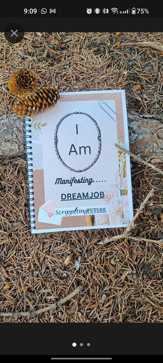 Manifestation journal