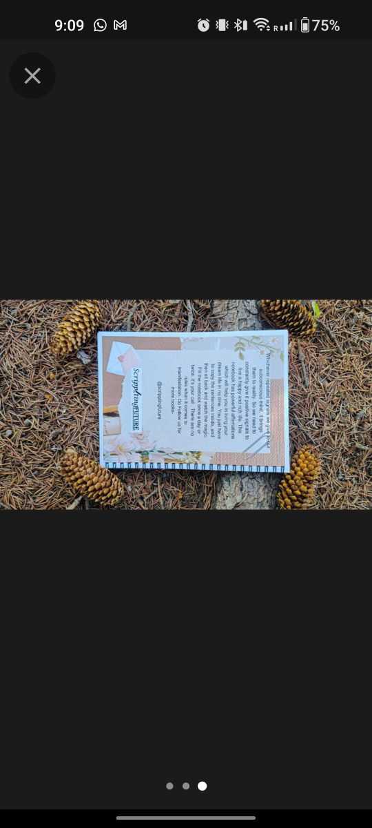 Manifestation journal - photo 2