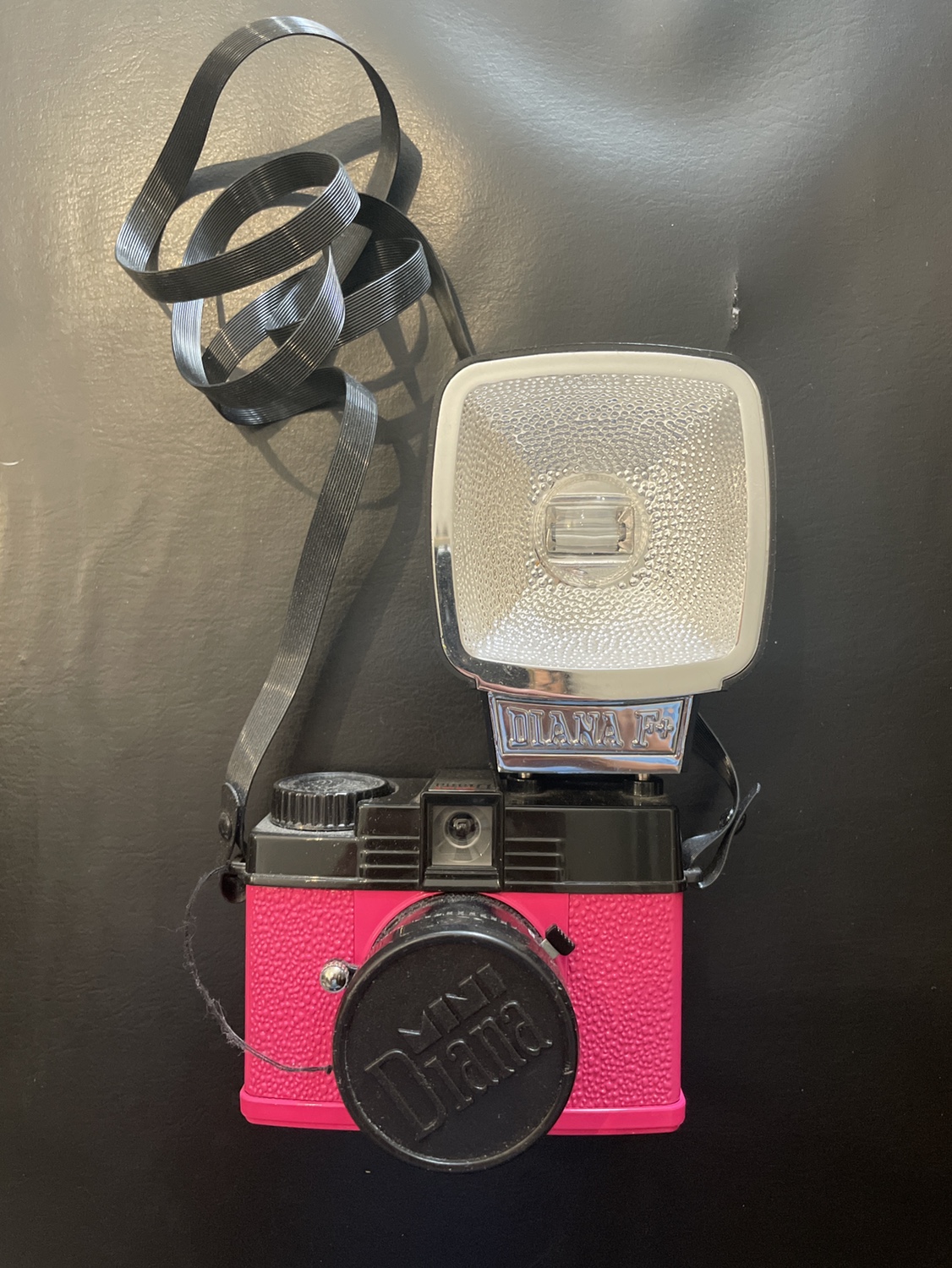 Mini Diana Retro Camera(Last Price) image indicator(3)