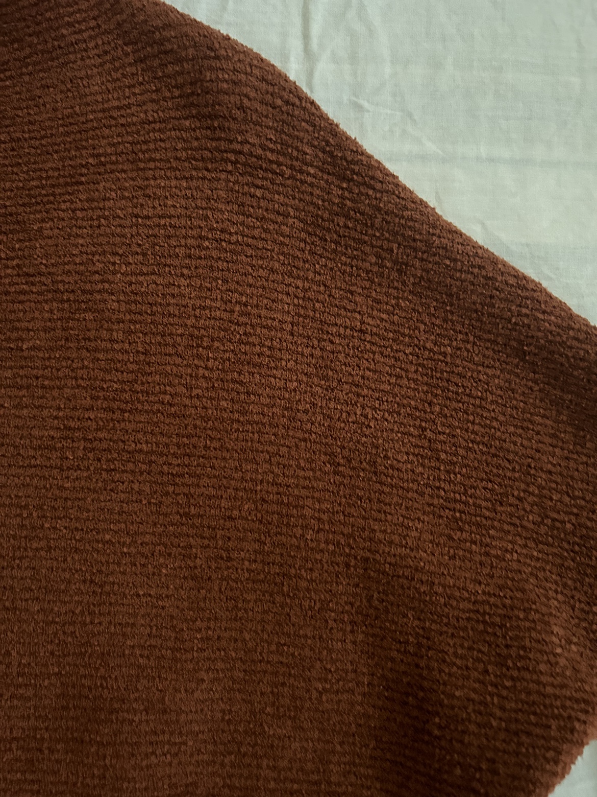 Dusty Orange Crewneck �✨ image indicator(3)