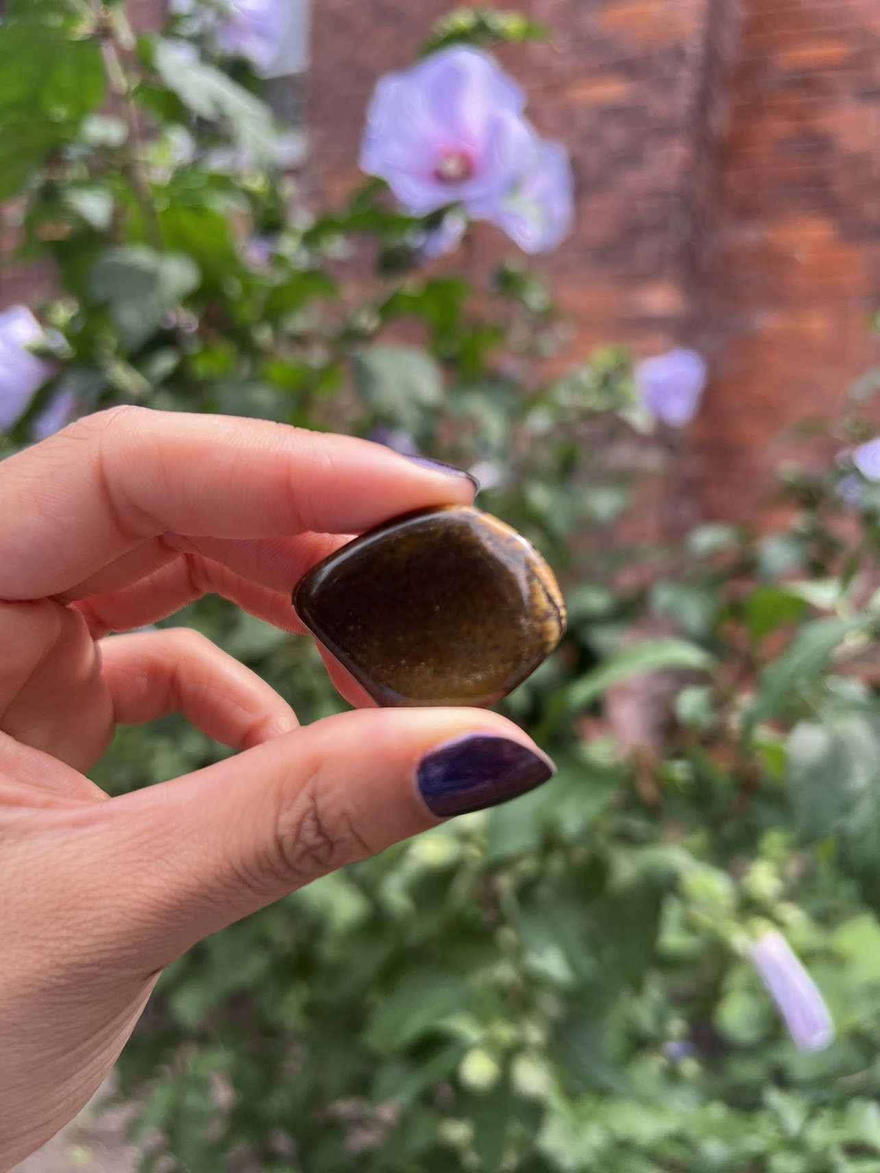 Tiger's Eye Tumbled Stone - photo 5