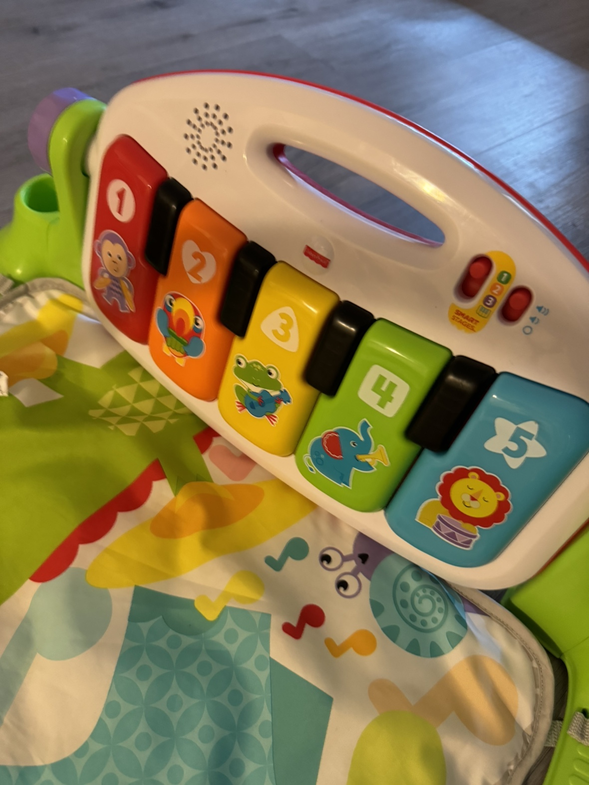 Fisher price delux play mat - photo 2