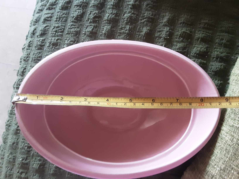 Pink Epicure Serving Dish D55N4🥕 image indicator(6)