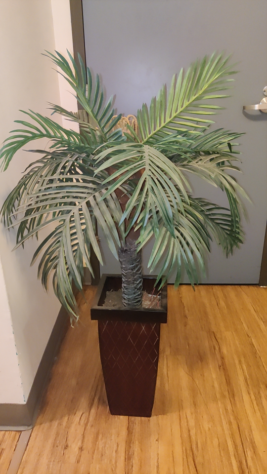 House Decor - photo 2