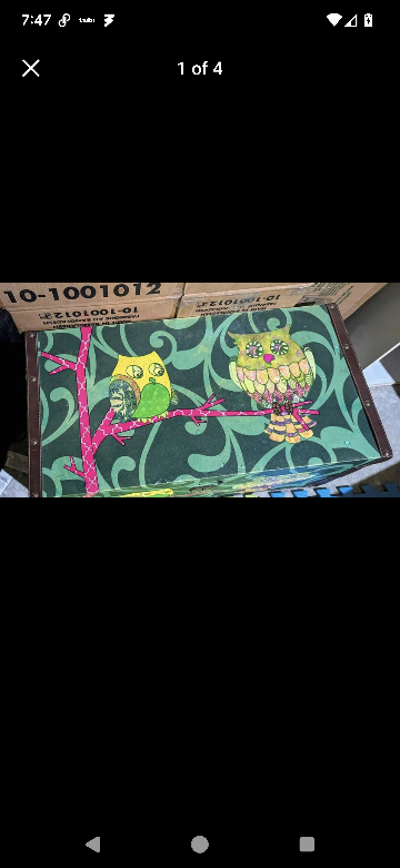 Storage Boxes or Toy Boxes