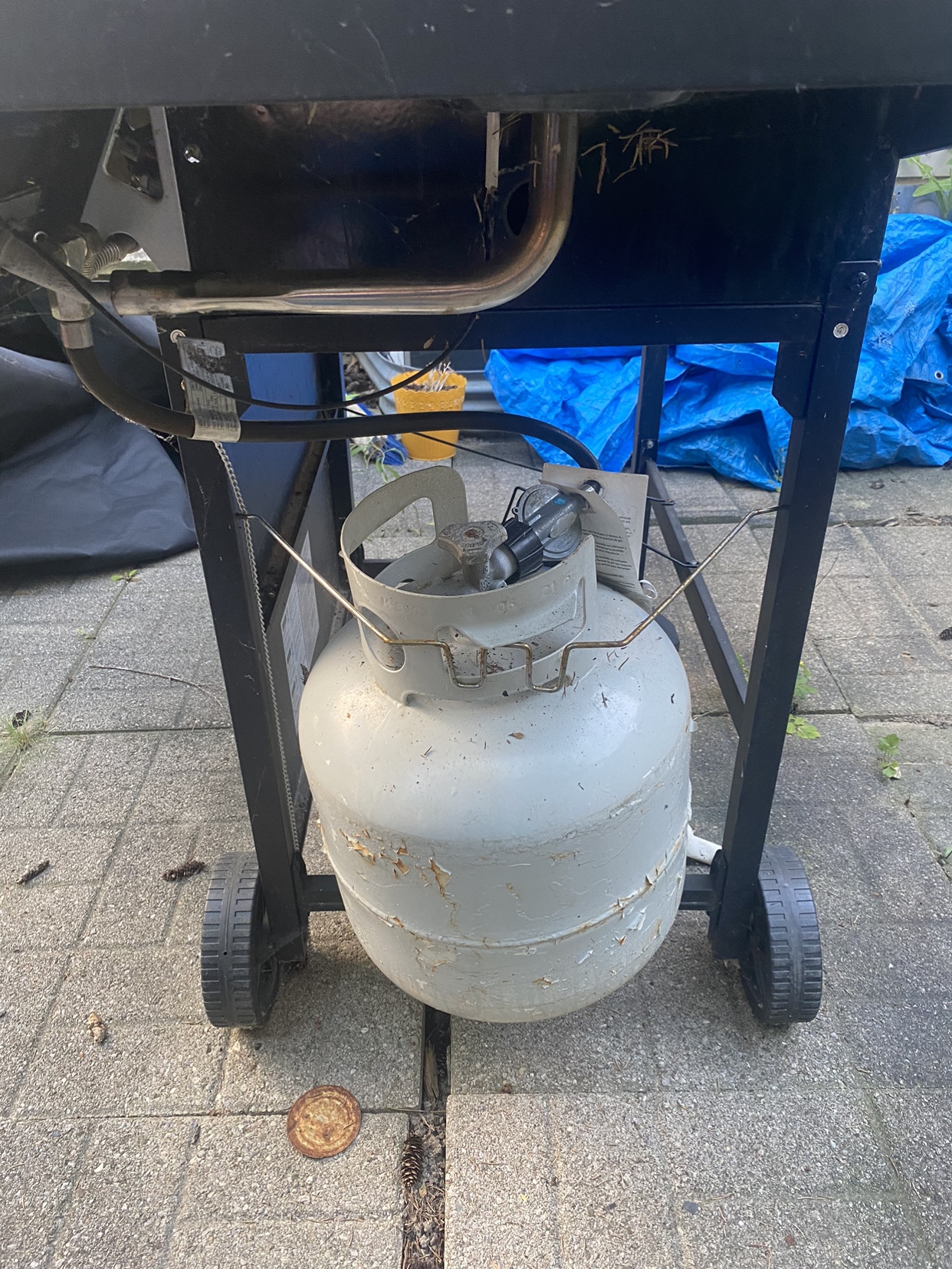 Backyard Grill - photo 3
