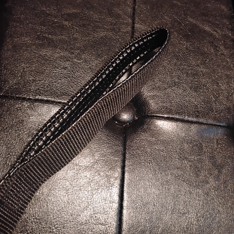 Dog leash (nylon) - photo 2