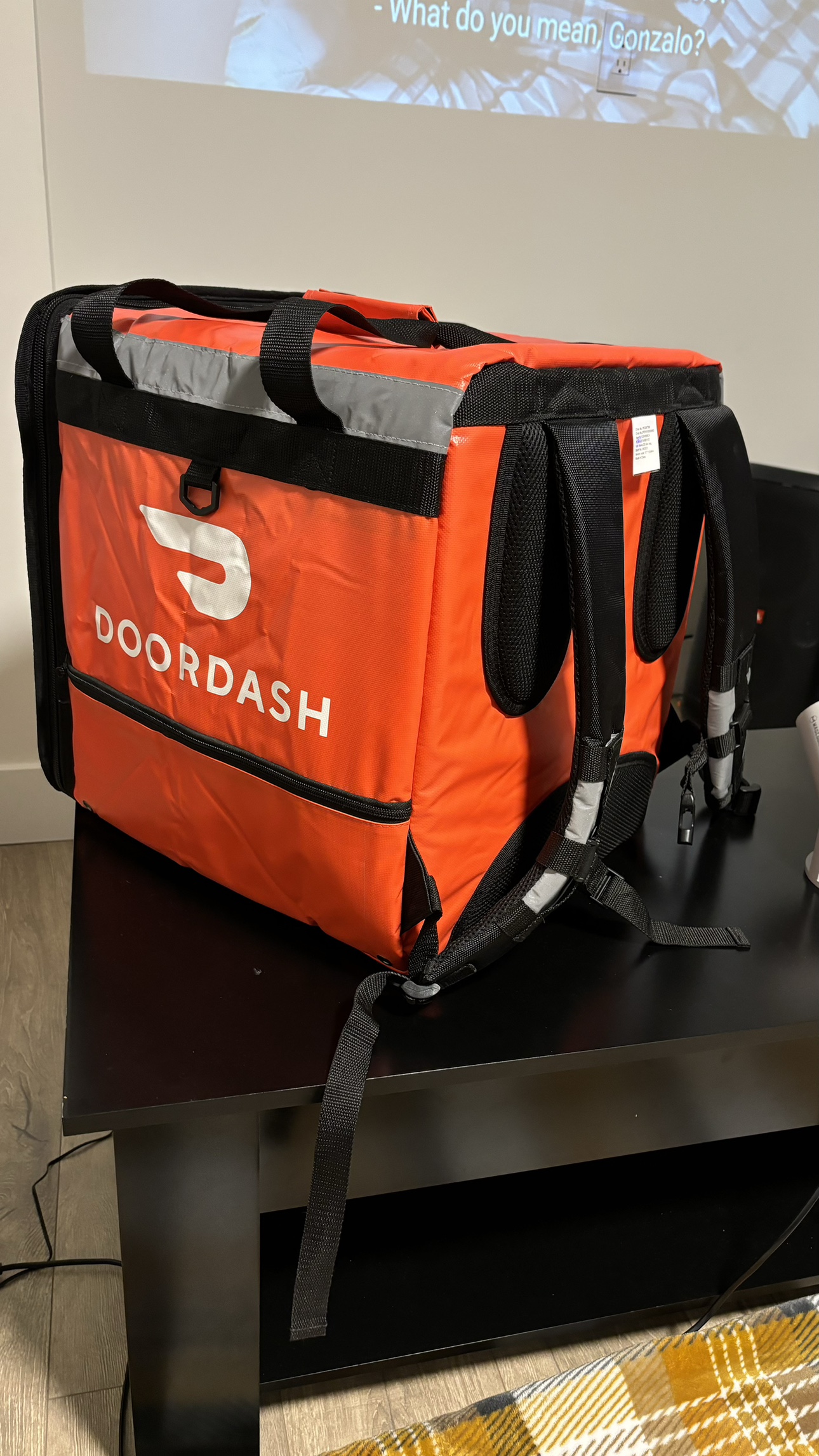Brand New DoorDash biking delivery bag