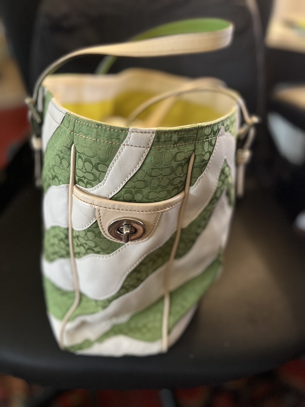 Coach Green and White Bag image indicator(2)