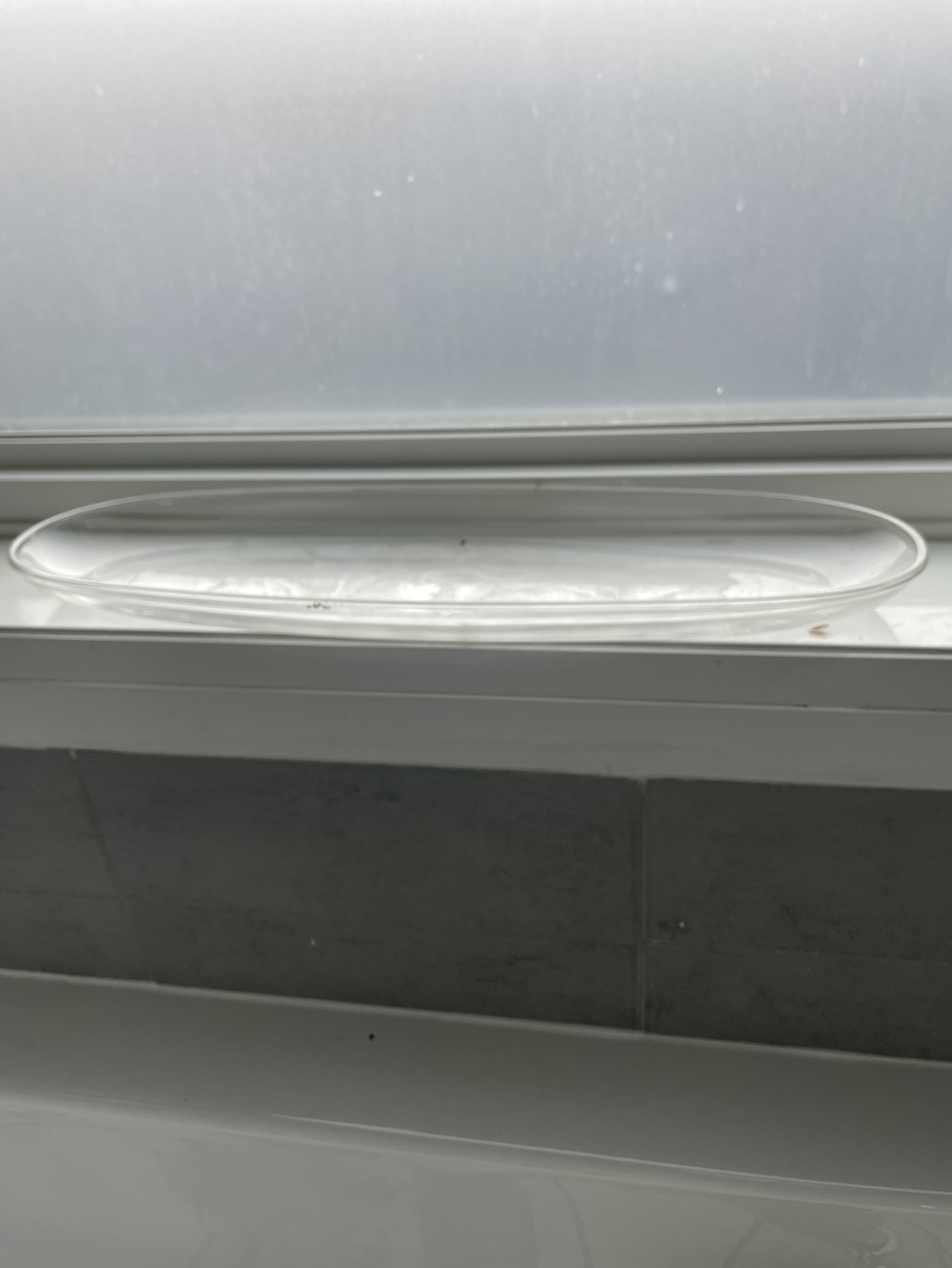 Fake plant and oval glass for only $10 - photo 2