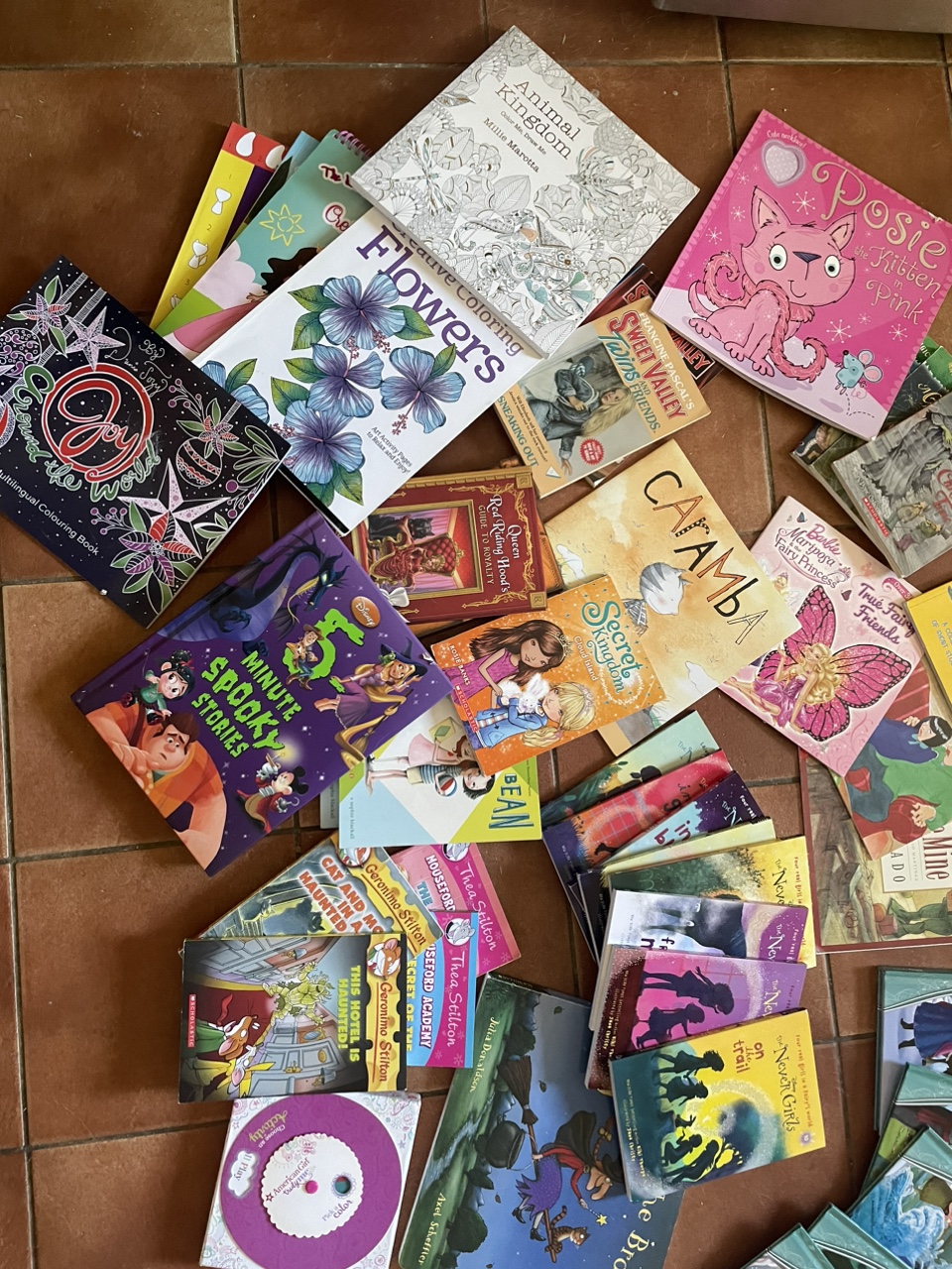 Children's books. Mostly pre teen books $25 takes it all. - photo 2