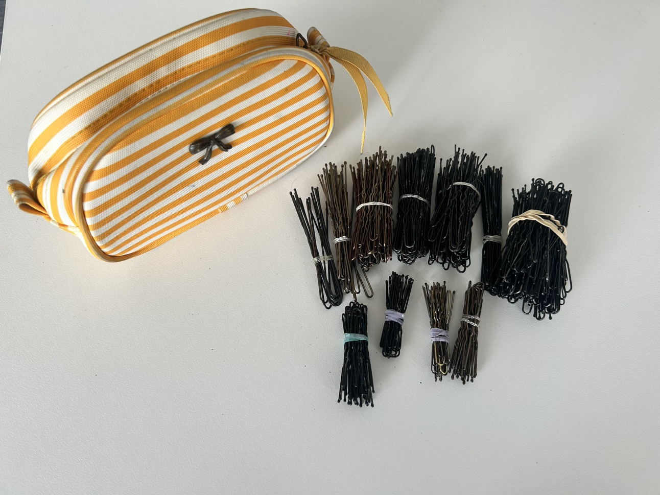 Hair Pins and Case thumbnail