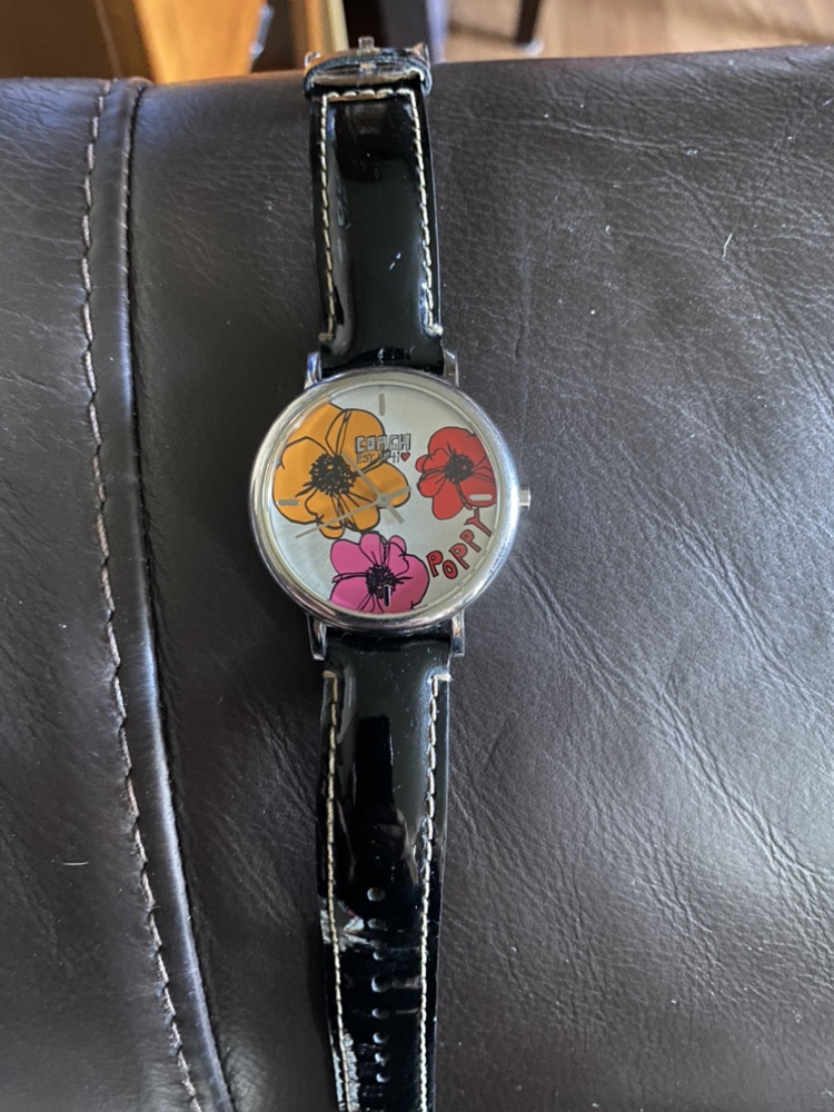 Coach Poppy Watch image indicator(2)