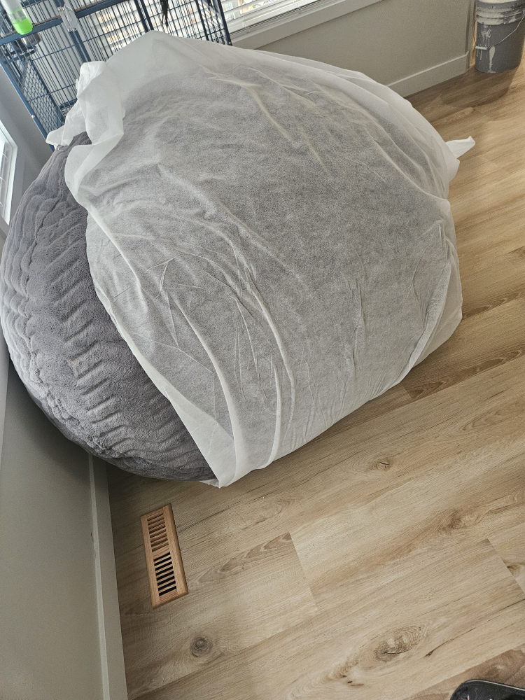 Costco jumbo Bean Bag Chair