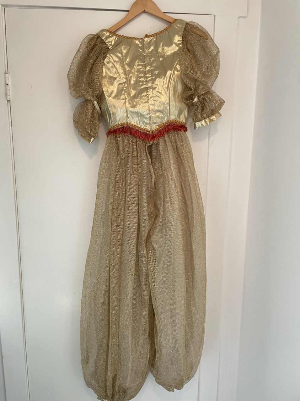 Dora Bella Costume image indicator(2)