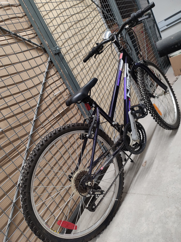 Next Challenger Bike - photo 4