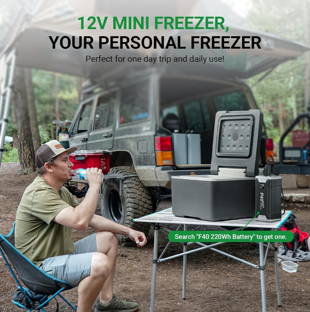 12 Volt Refrigerator 9L Portable Mini Freezer with app image indicator(10)