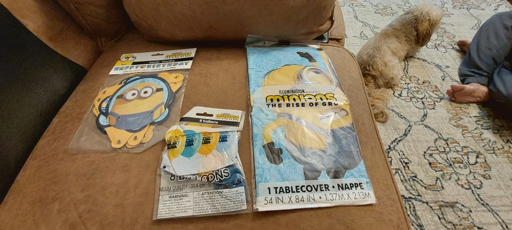 Minions Birthday Party Decorations