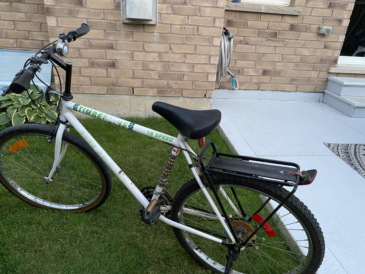 Vintage bicycle - in working condition image indicator(9)